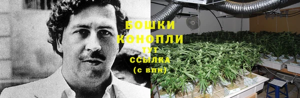 каннабис Елизово